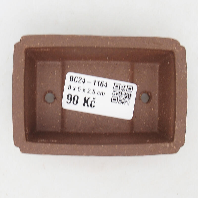 Mini bonsaischaal 8,5 x 5 x 5 cm, bruin