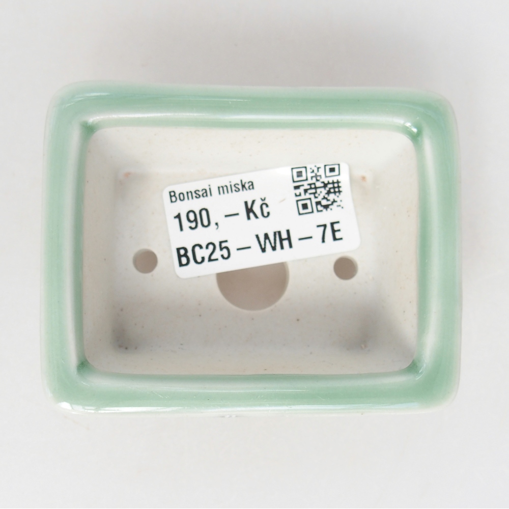 Mini bonsaischaal 8 x 6 x 3 cm, groen