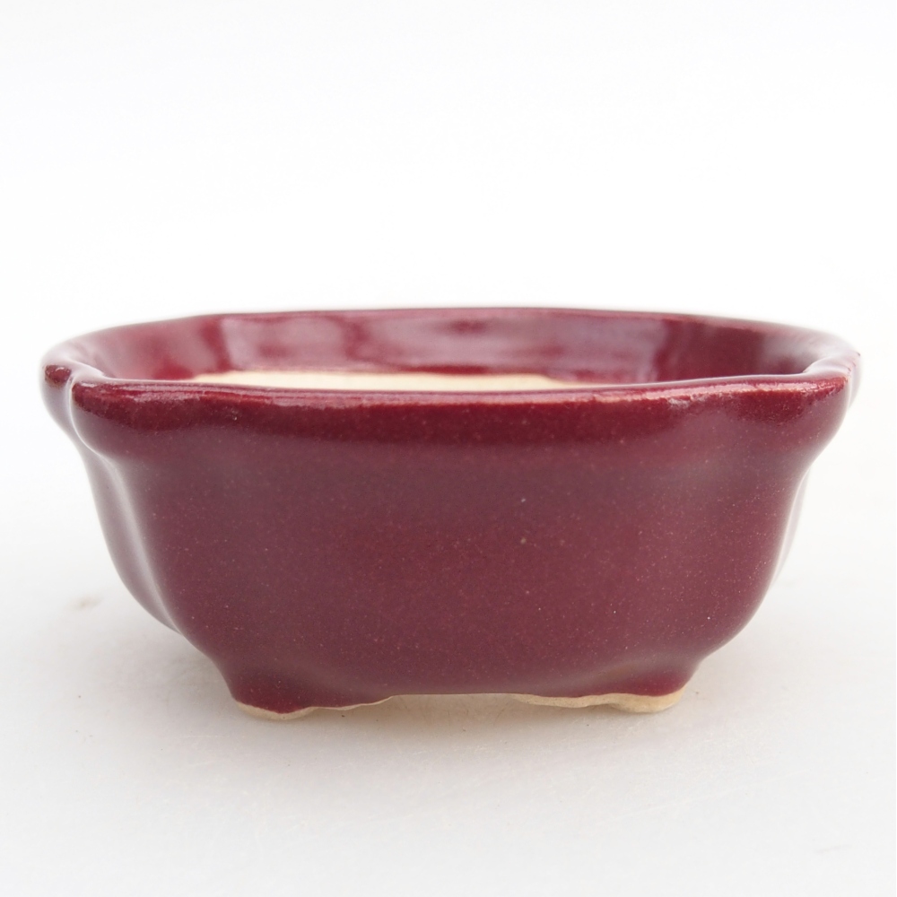 Mini bonsaischaal 6,5 x 6,5 x 3 cm, bordeauxrood