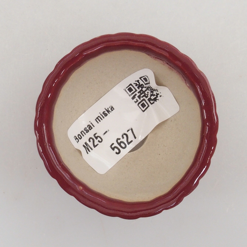 Mini bonsaischaal 5 x 5 x 2,5 cm, kleur bordeauxrood