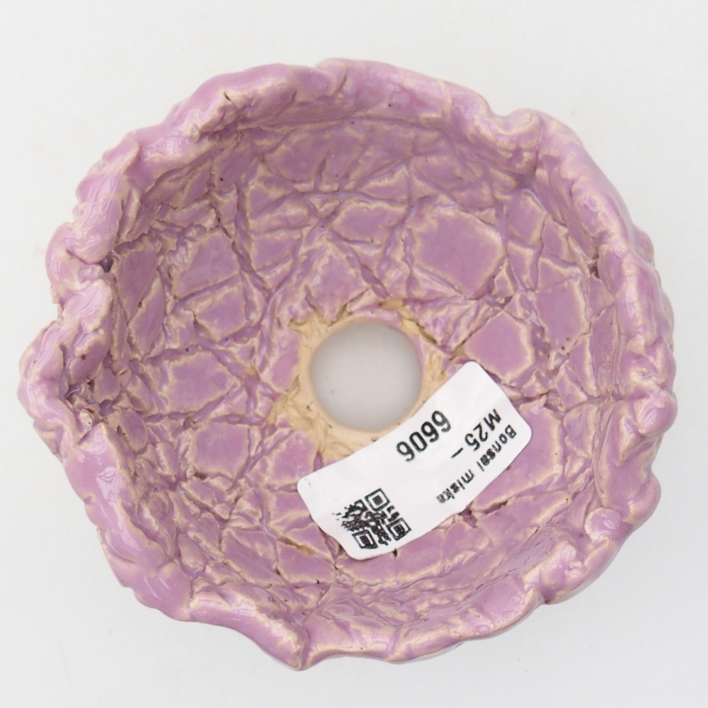 Keramische schelp 9 x 9 x 6 cm , kleur paars