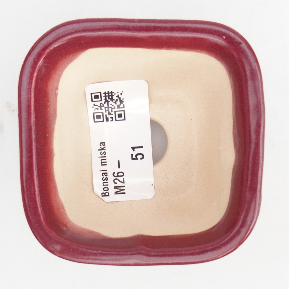Mini bonsaischaal 6 x 6 x 4,5 cm, bordeauxrood