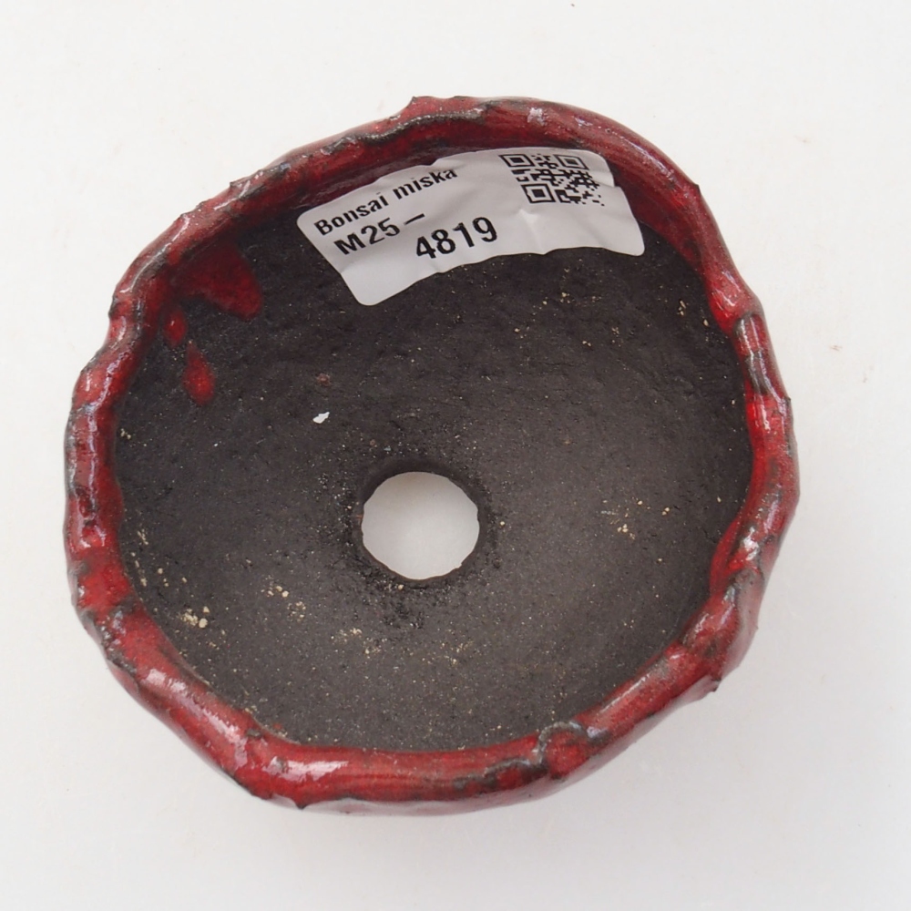 Keramisch Schelp 7 x 6,5 x 5 cm , kleur rood