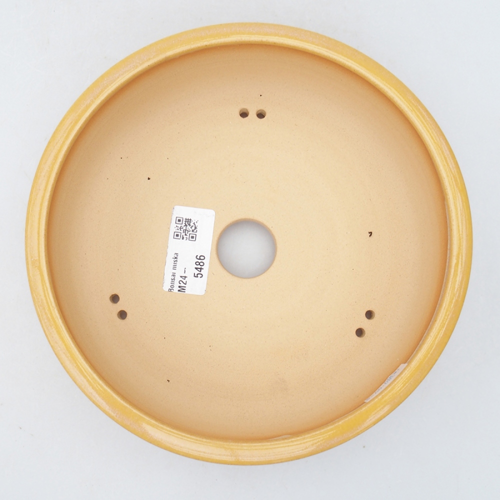 Bonsaischaal van keramiek 18,5 x 18,5 x 6 cm, geel