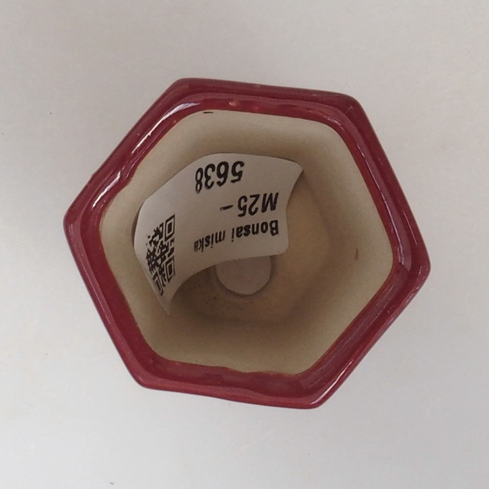 Mini bonsaischaal 4,5 x 4 x 6 cm, bordeauxrood