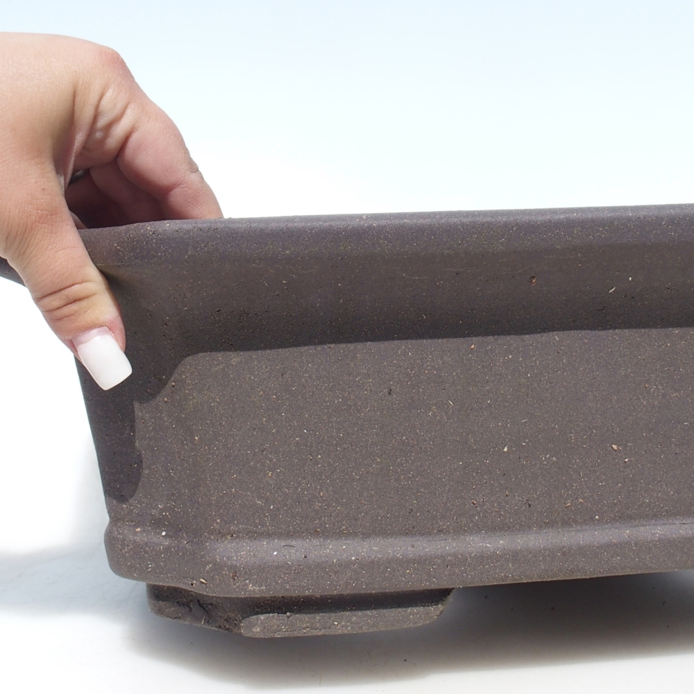 Bonsaischaal 40 x 30 x 12 cm - bruin