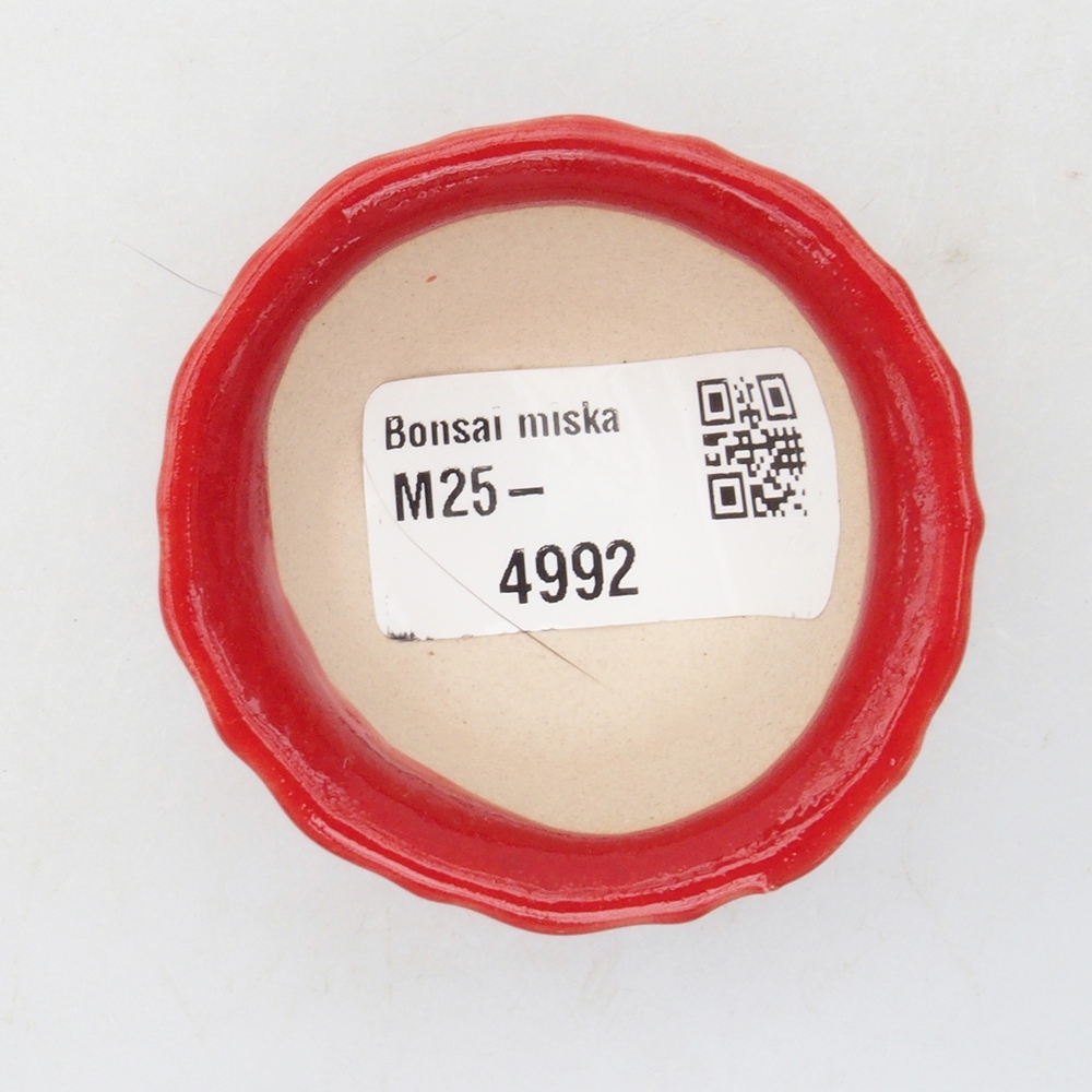 Mini bonsaischaal 5 x 5 x 3 cm, kleur rood