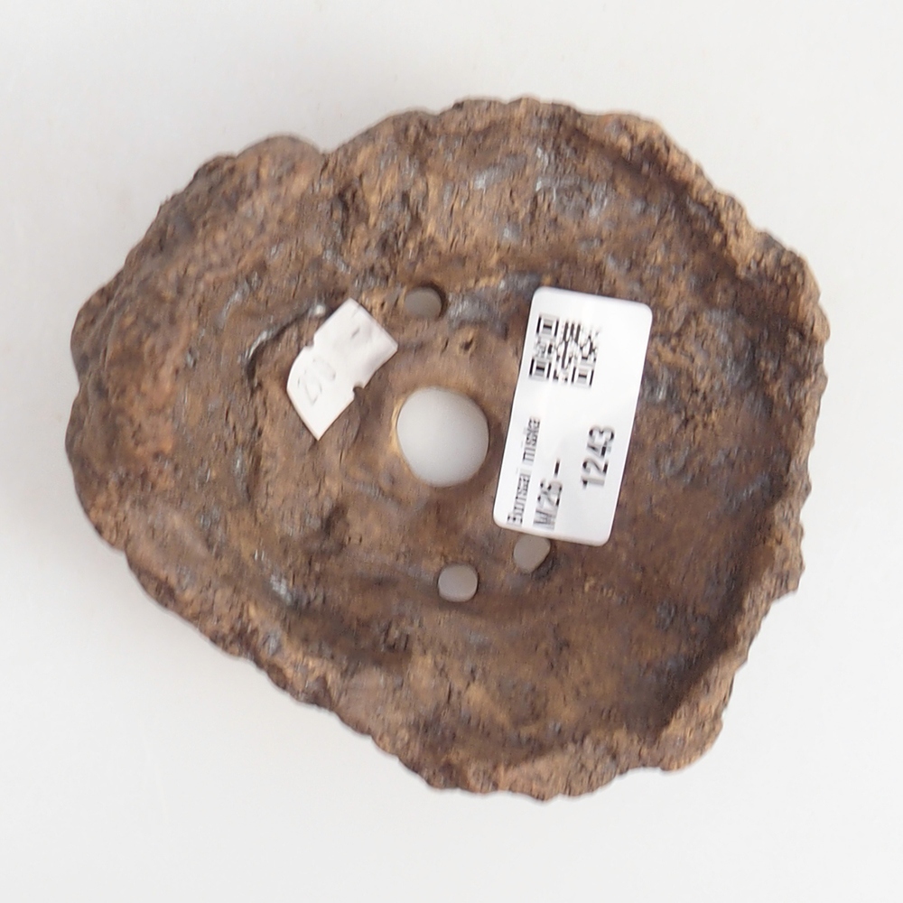 Keramisch Schelp 10 x 9 x 9 cm , kleur bruin