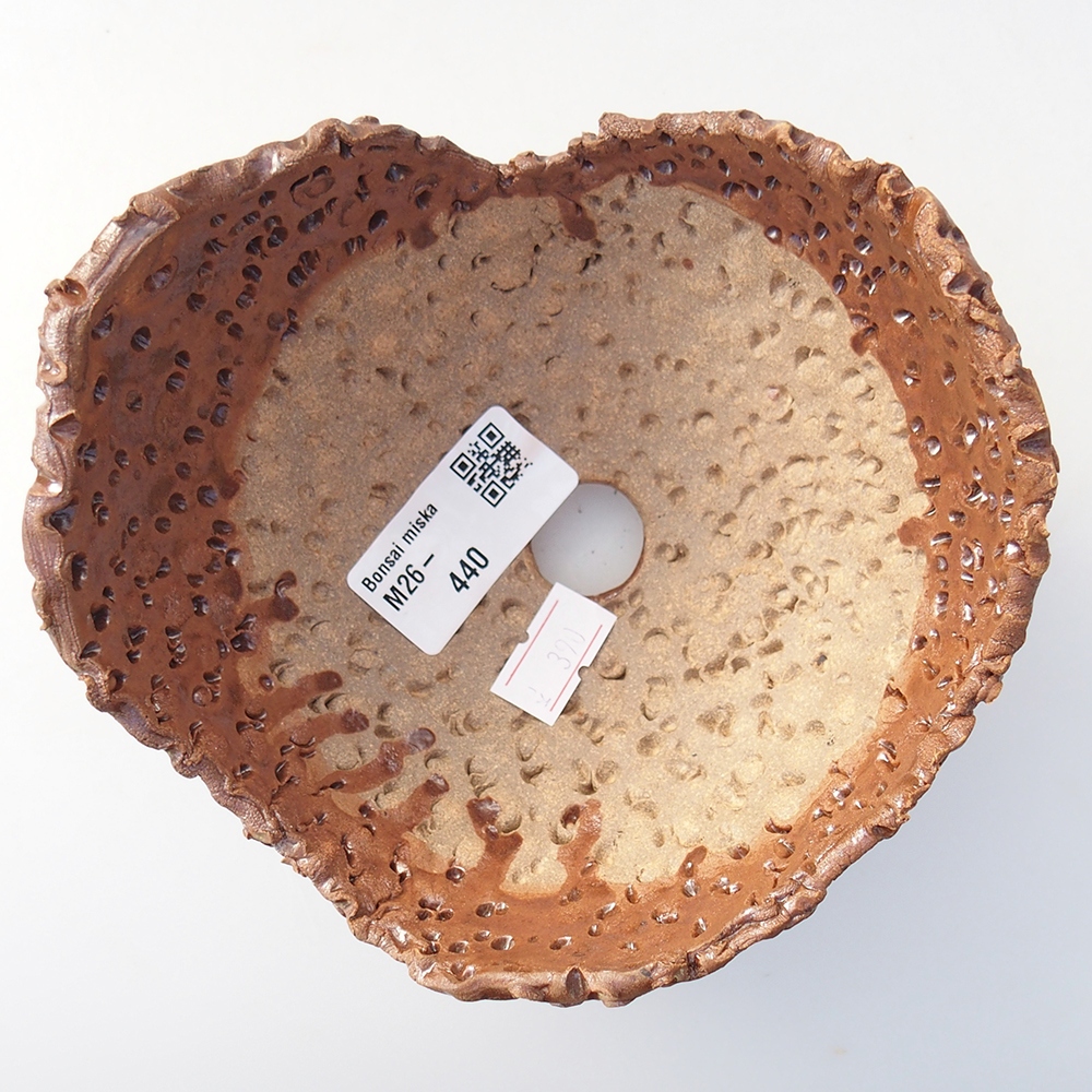 Keramisch Schelp 12,5 x 12,5 x 9 cm , kleur bruin