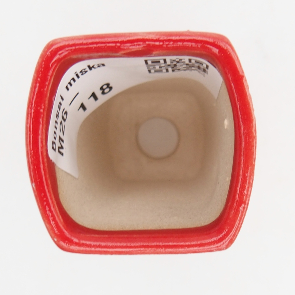 Mini bonsaischaal 3,5 x 3 x 5,5 cm, kleur rood