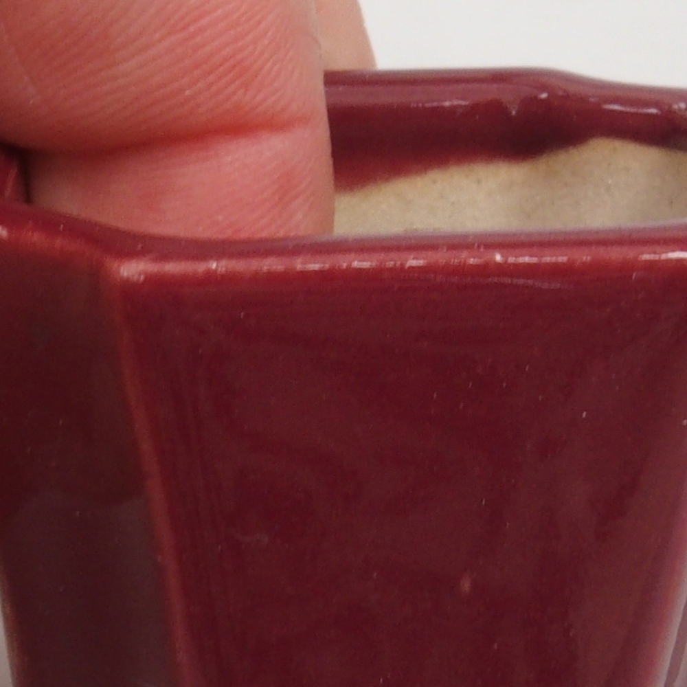 Mini bonsaischaal 4 x 4 x 4 cm, bordeauxrood