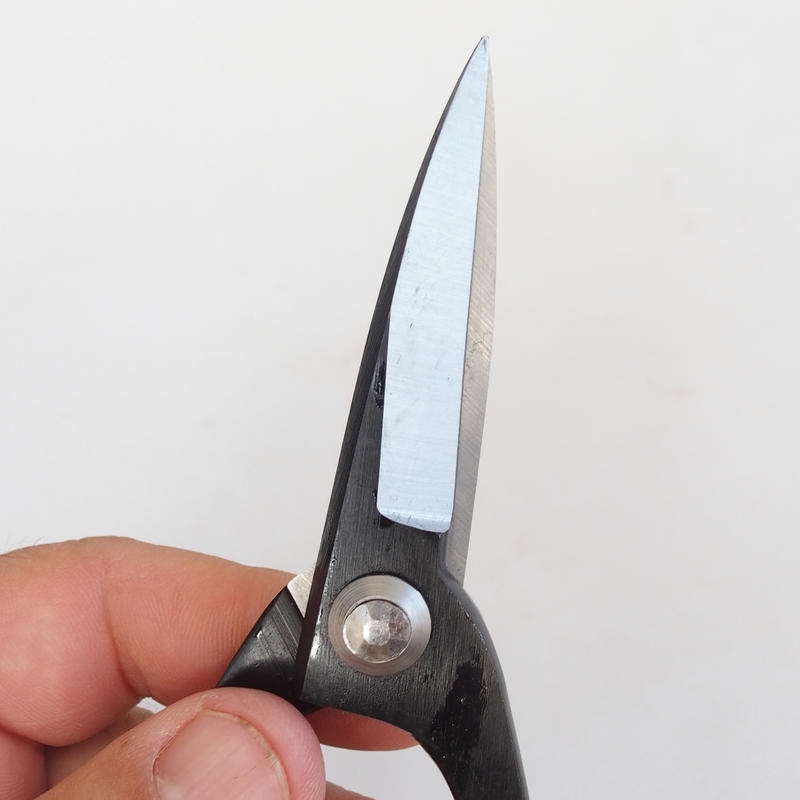 Knipschaar 195 mm - carbon
