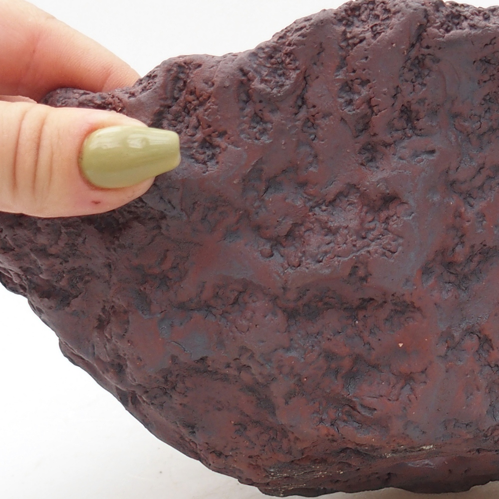 Keramisch Schelp 20 x 16 x 15,5 cm , kleur bruin