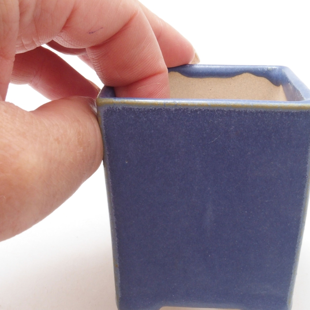 Mini bonsaischaal 5,5 x 5,5 x 6,5 cm, kleur blauw
