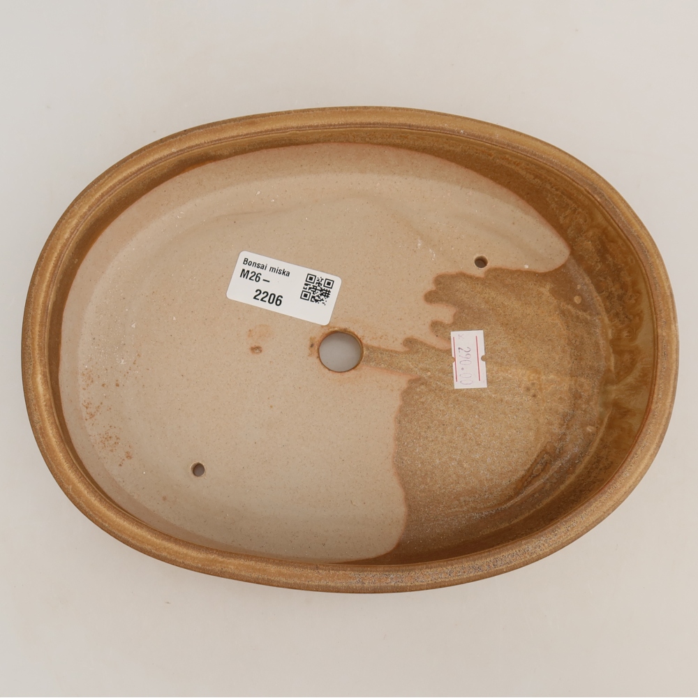 Bonsaischaal van keramiek 22 x 17 x 4 cm, kleur beige