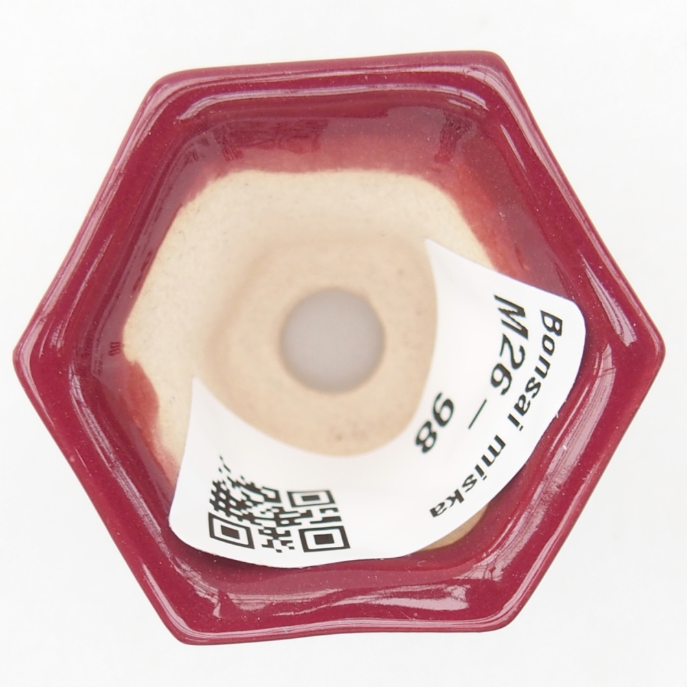 Mini bonsaischaal 4 x 4 x 3,5 cm, bordeauxrood