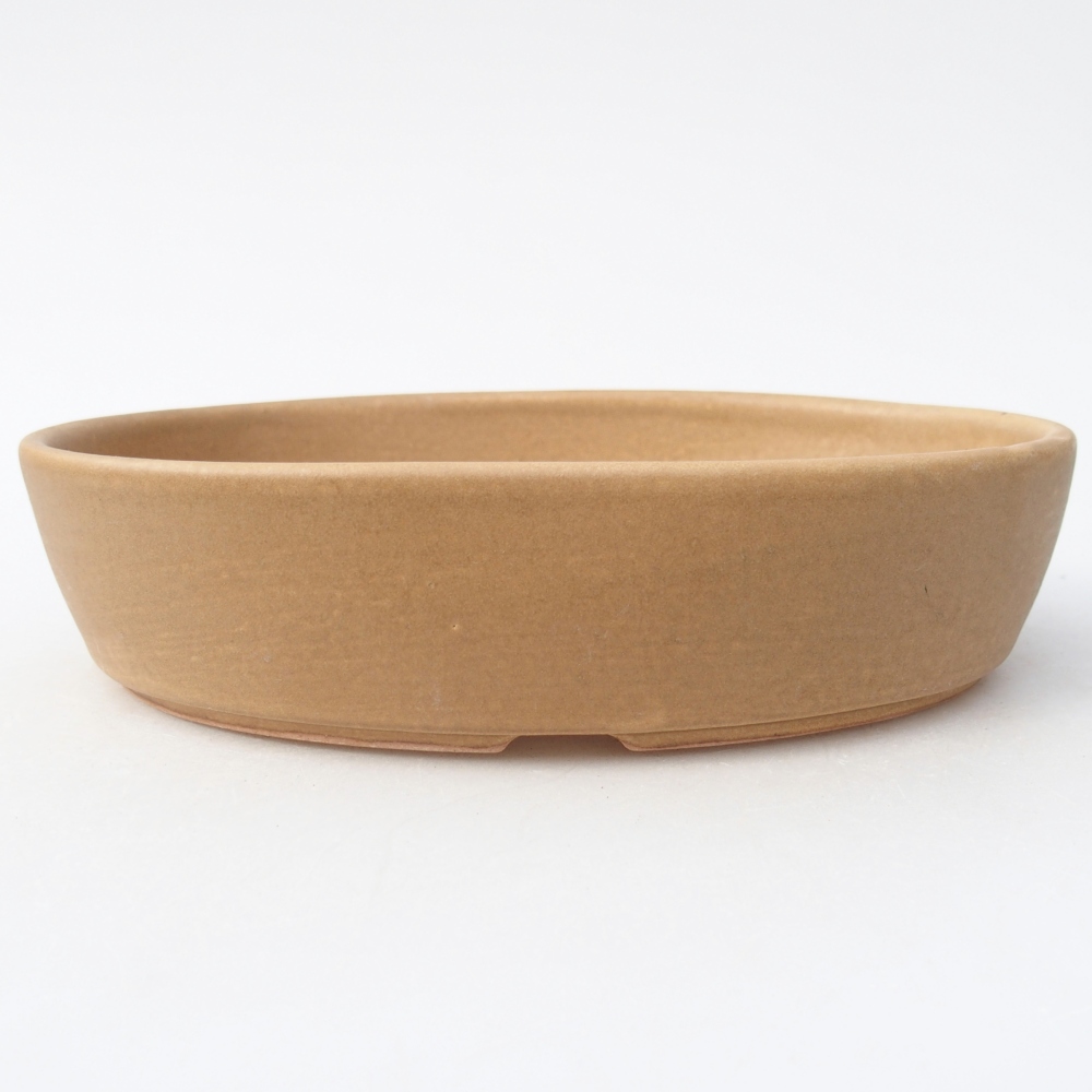 Bonsaischaal van keramiek 18,5 x 13,5 x 4,5 cm, kleur beige