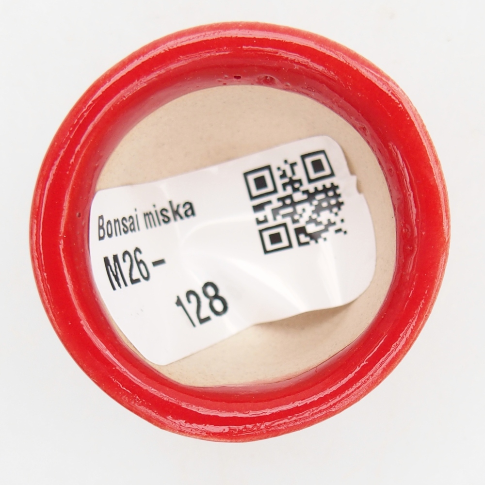 Mini bonsaischaal 4 x 4 x 2,5 cm, kleur rood