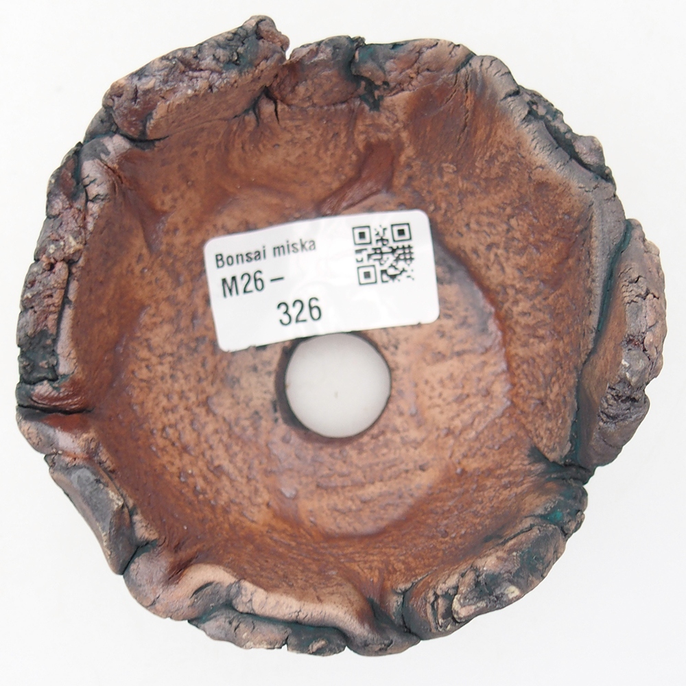 Keramische schelp 9 x 9 x 6 cm , kleur groen