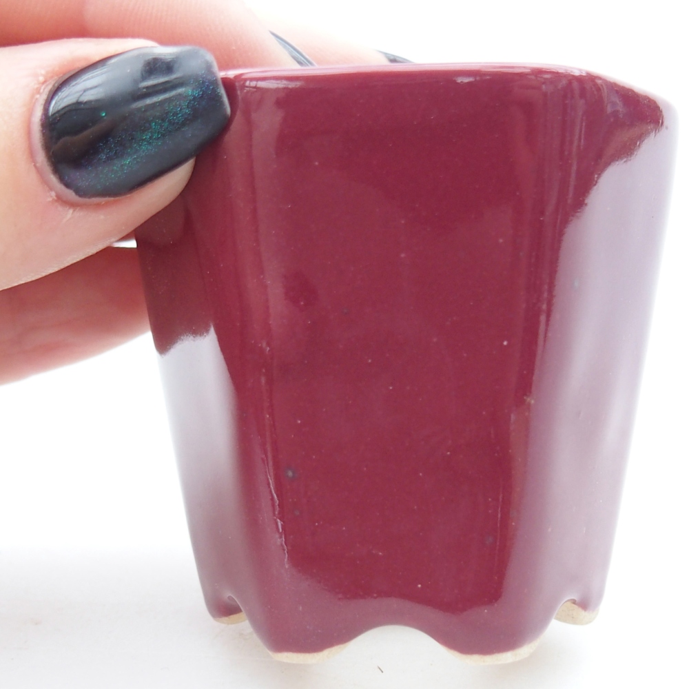 Mini bonsaischaal 5,5 x 5 x 5 cm, kleur bordeauxrood
