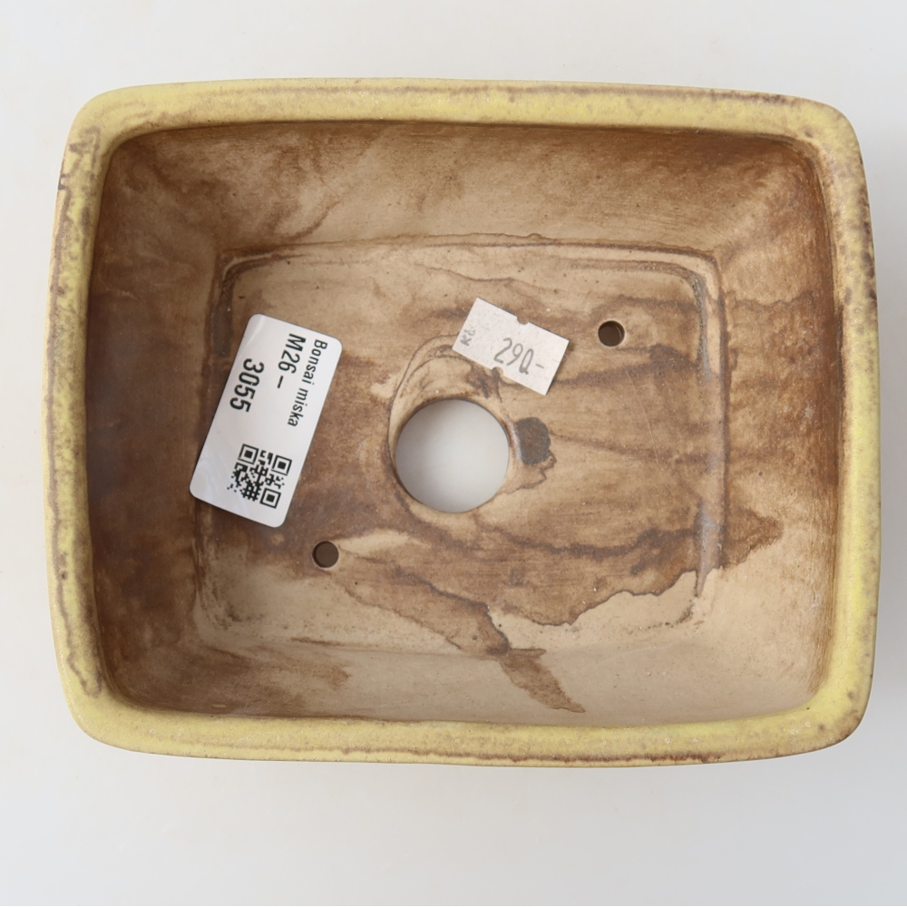 Keramische bonsaipot 15 x 12,5 x 5,5 cm, kleur: geel