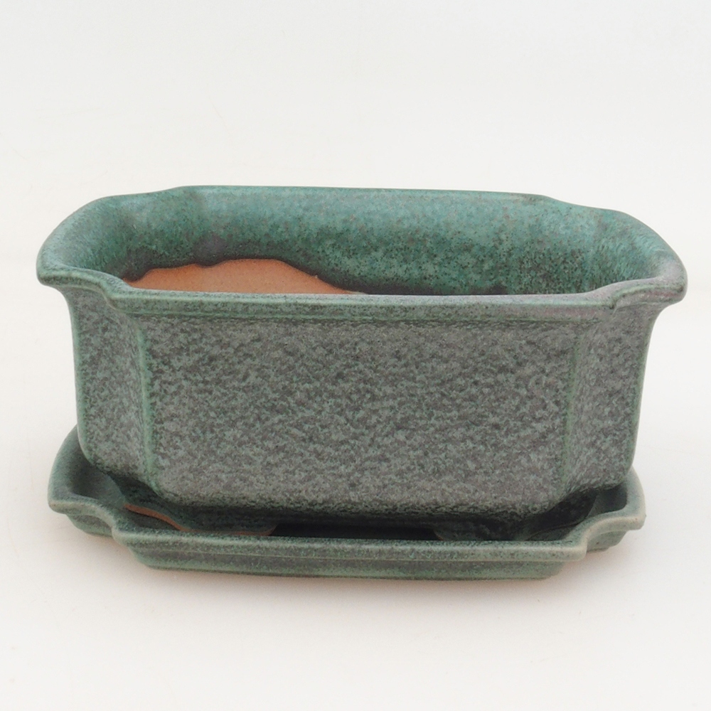 Bonsaischaal + schotel H01 - groen