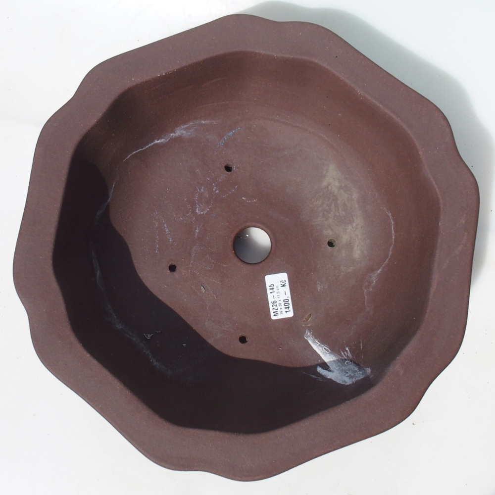 Bonsaischaal 39 x 39 x 11,5 cm berken bruin