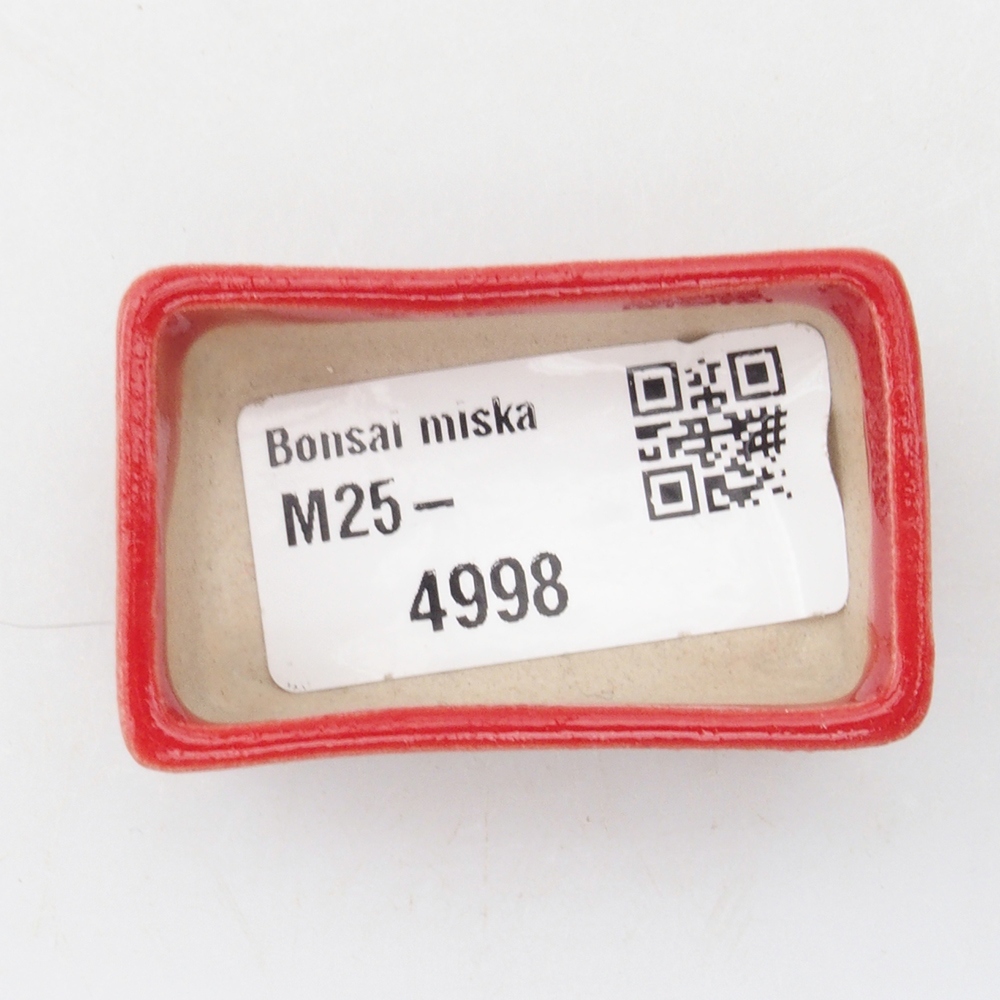 Mini bonsaischaal 5 x 3 x 2 cm, kleur rood