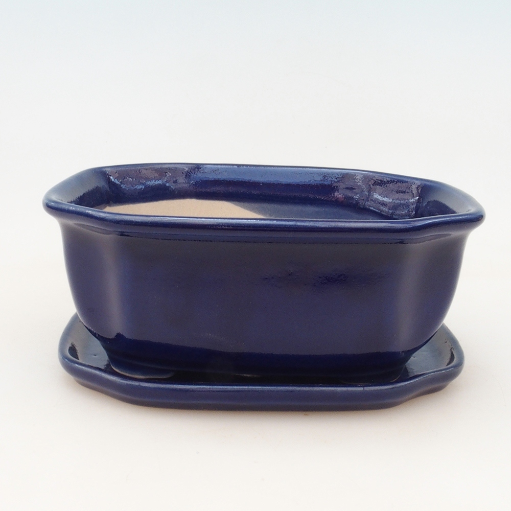 Bonsai kom + schotel H31 - blauw