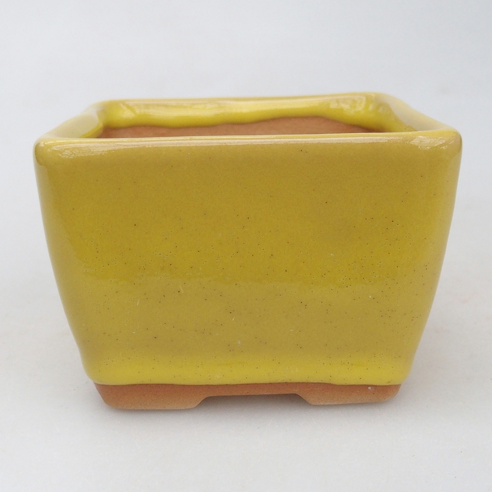 Bonsaischaal van keramiek 8,5 x 8,5 x 6 cm, geel