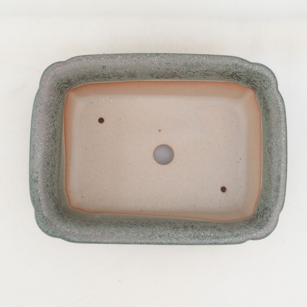 Bonsaischaal H50 - 17 x 12,5 x 5,5 cm - groen