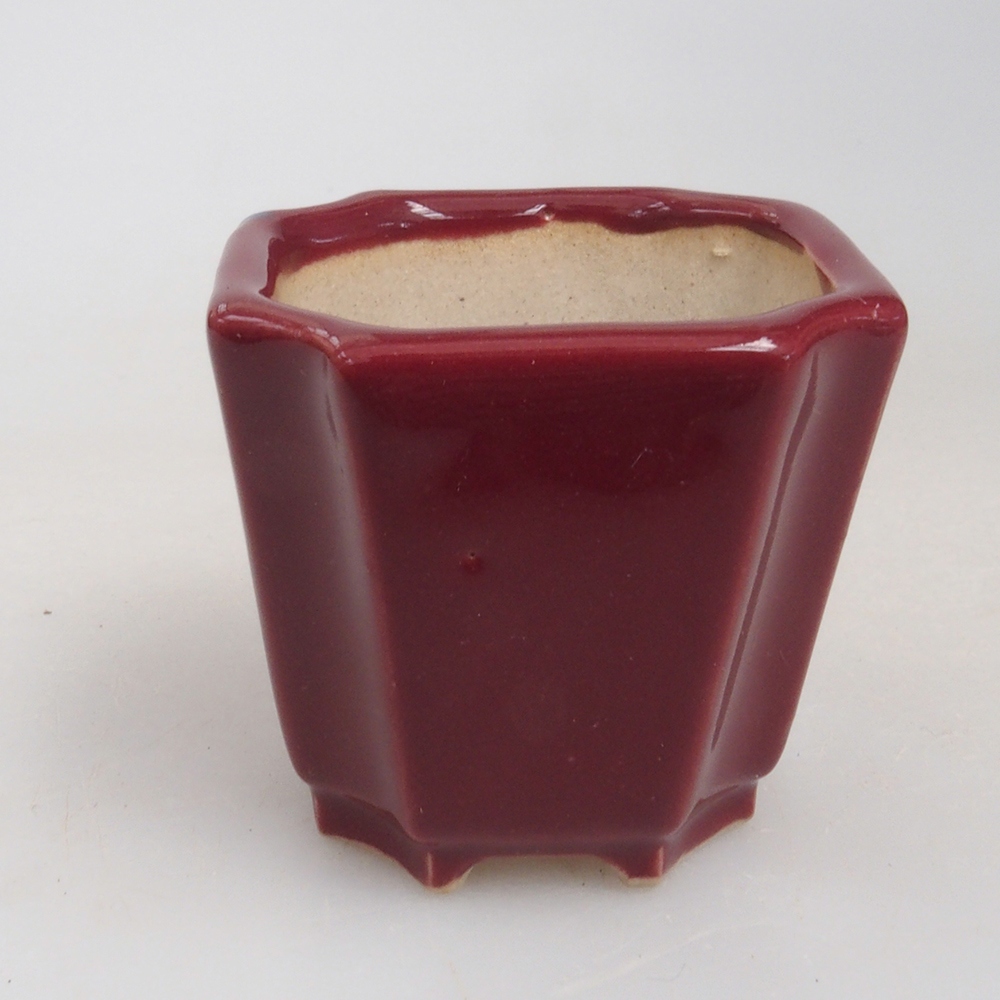 Mini bonsaischaal 4 x 4 x 4 cm, bordeauxrood