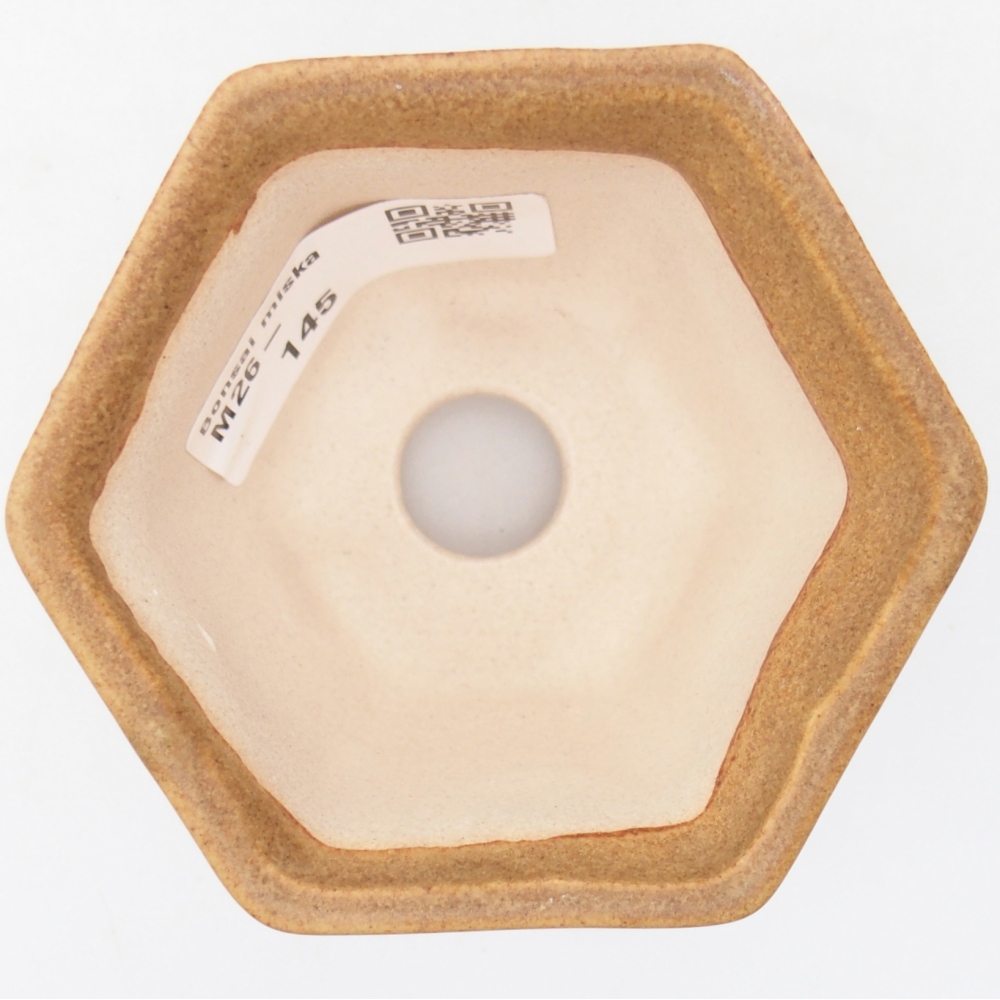 Mini bonsaischaal 7,5 x 6,5 x 5 cm, bruin