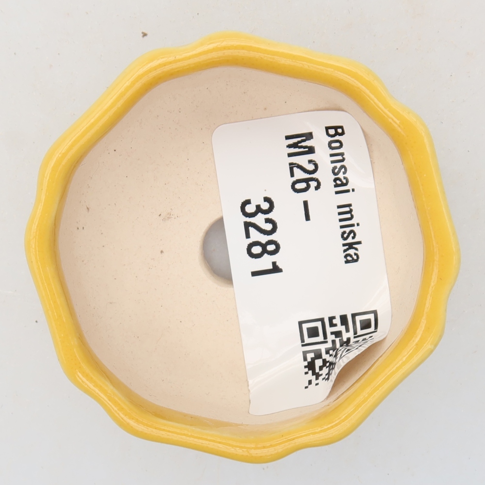 Keramische bonsaipot van 5 x 5 x 2,5 cm, kleur: geel