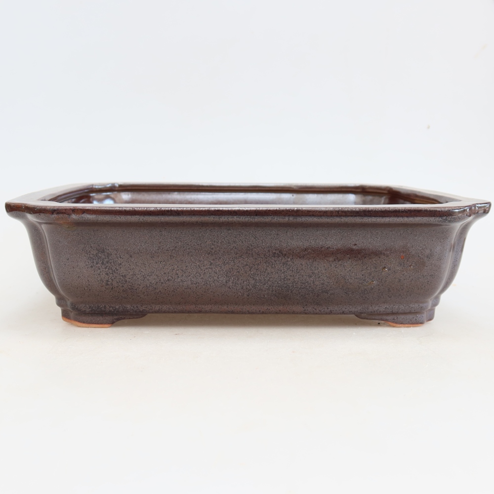 Keramische bonsaipot 27,5 x 21,5 x 7 cm, kleur bordeauxrood