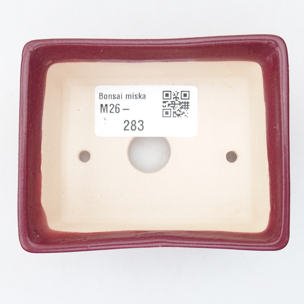 Mini bonsaischaal 9 x 7 x 4 cm, bordeauxrood