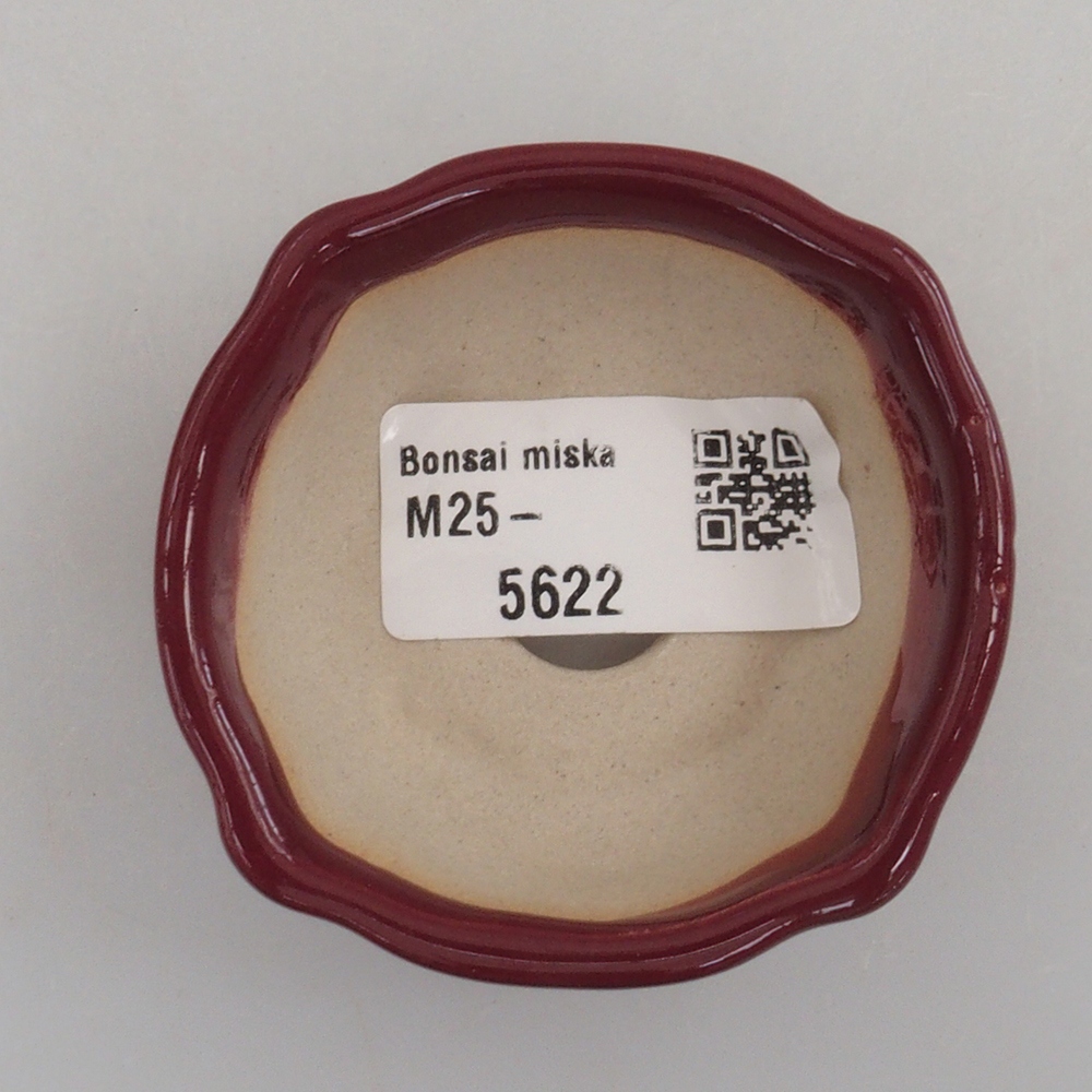 Mini bonsaischaal 6 x 6 x 2,5 cm, bordeauxrood