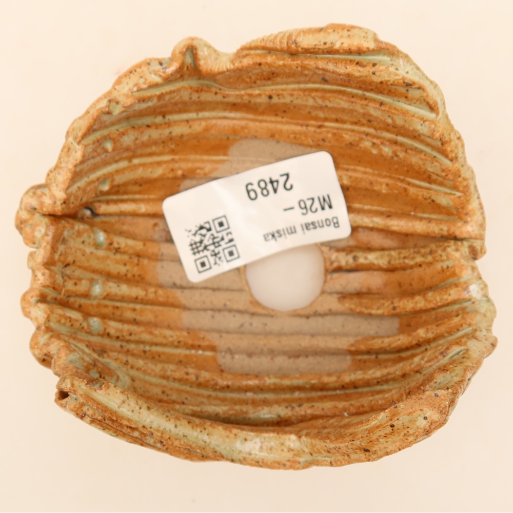 Keramisch Schelp 9 x 8,5 x 5,5 cm , kleur beige