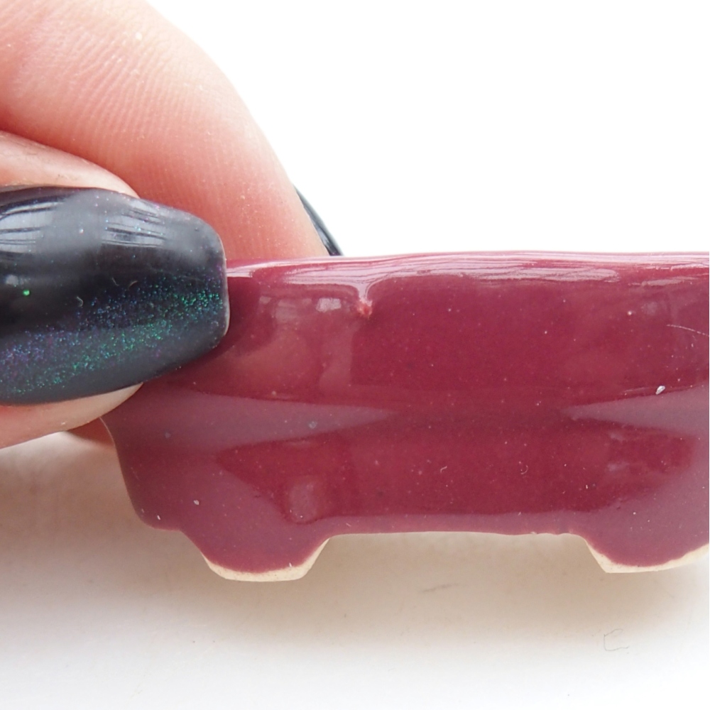 Mini bonsaischaal 4 x 2,5 x 2 cm, bordeauxrood