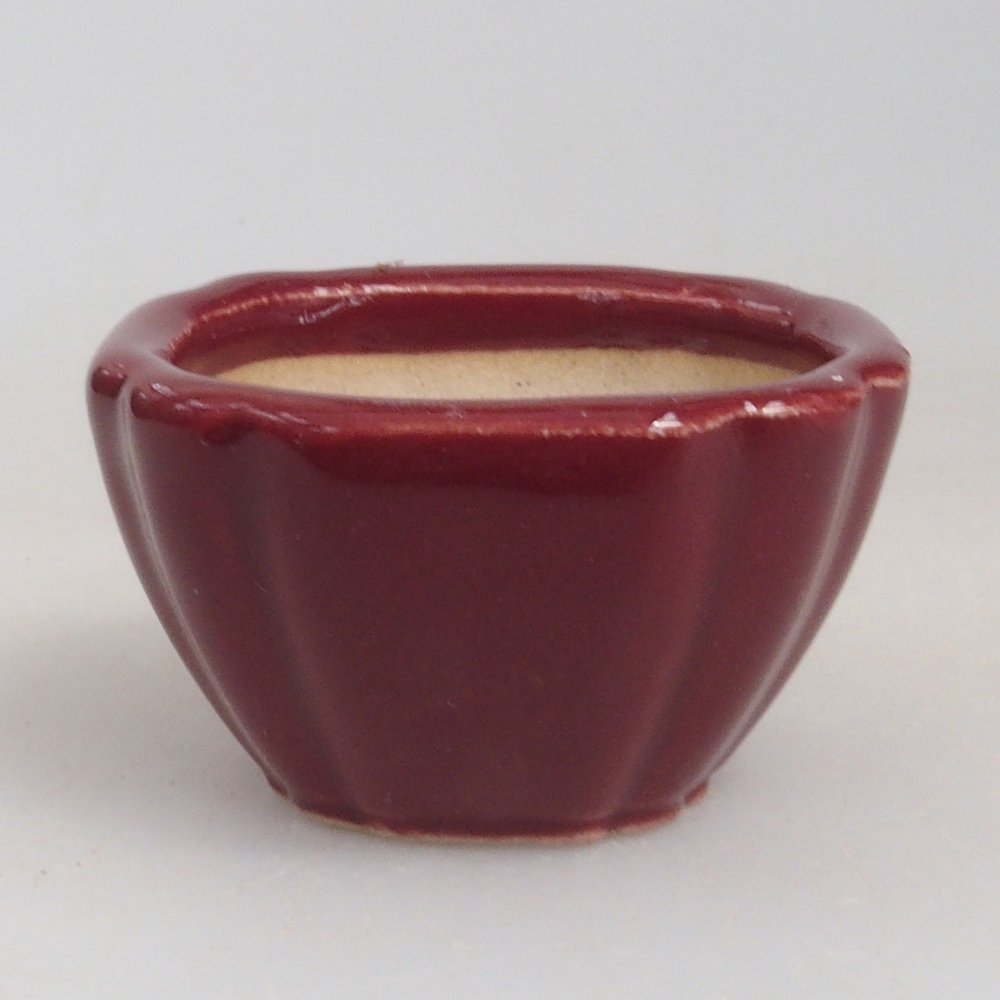 Mini bonsaischaal 4,5 x 4,5 x 2,5 cm, bordeauxrood