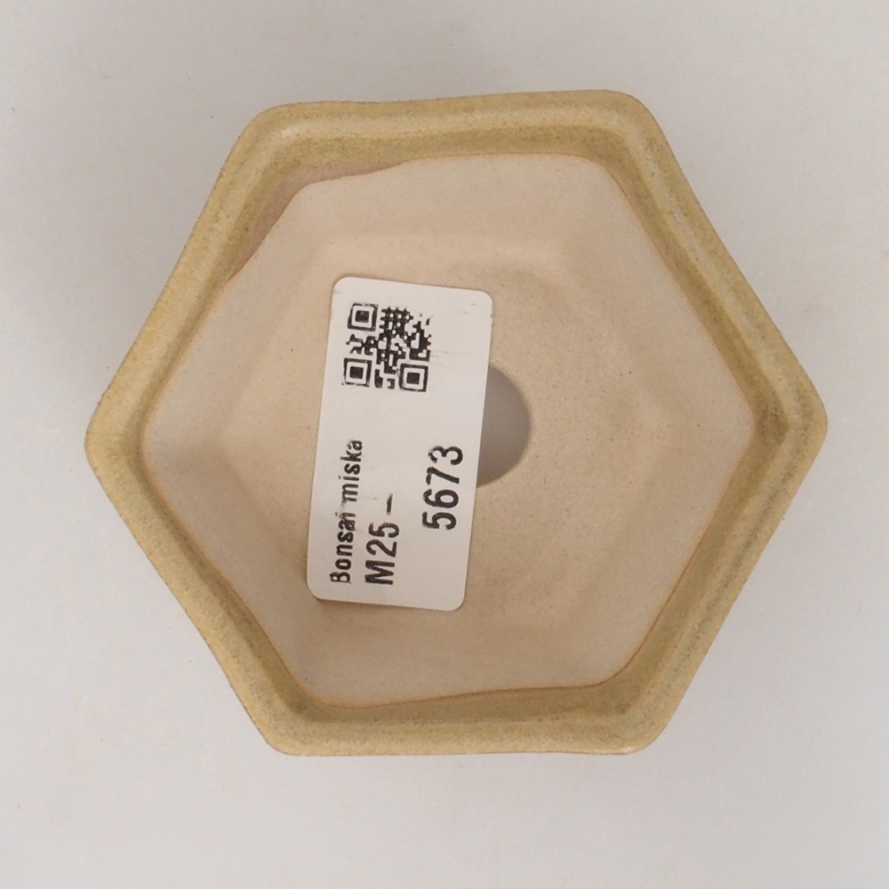 Mini bonsaischaal 8 x 7 x 4 cm, bruin