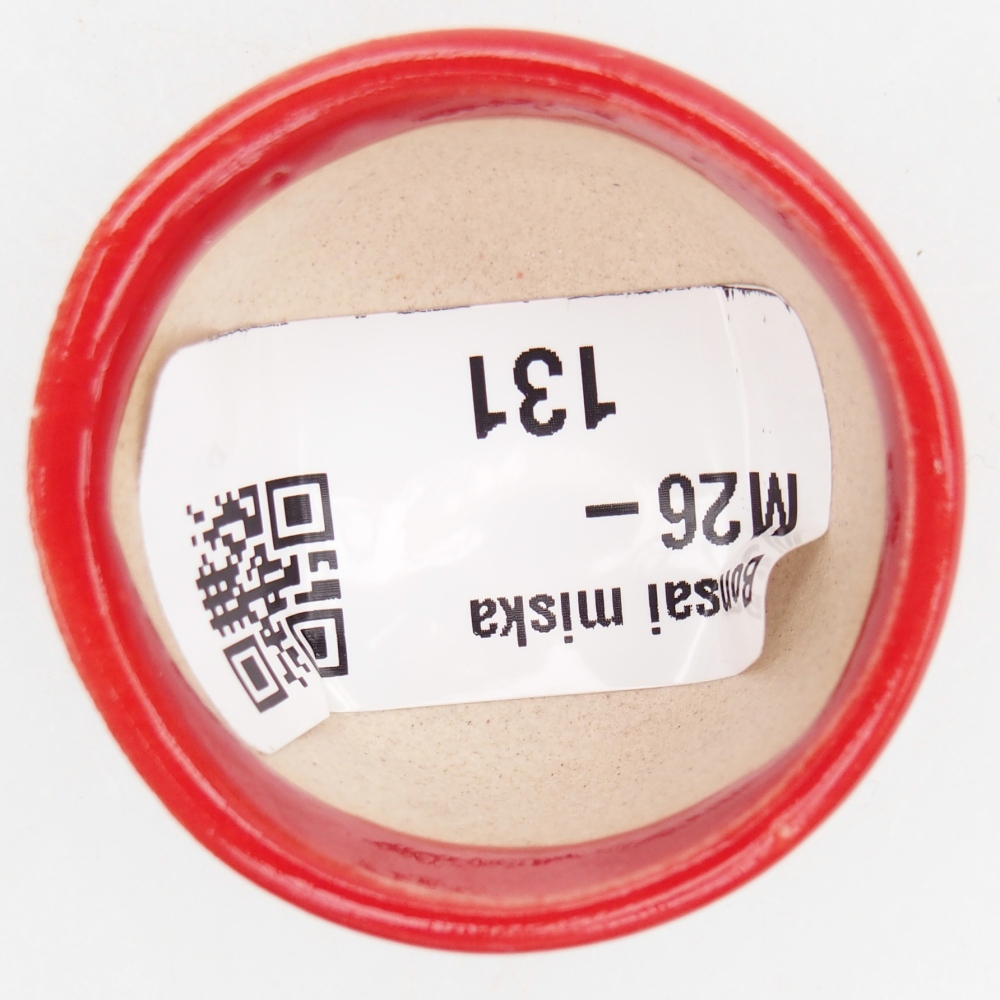 Mini bonsaischaal 4 x 4 x 2,5 cm, kleur rood
