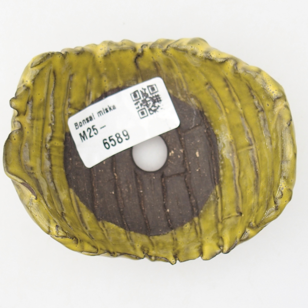 Keramische schelp 9 x 8 x 5 cm , geel