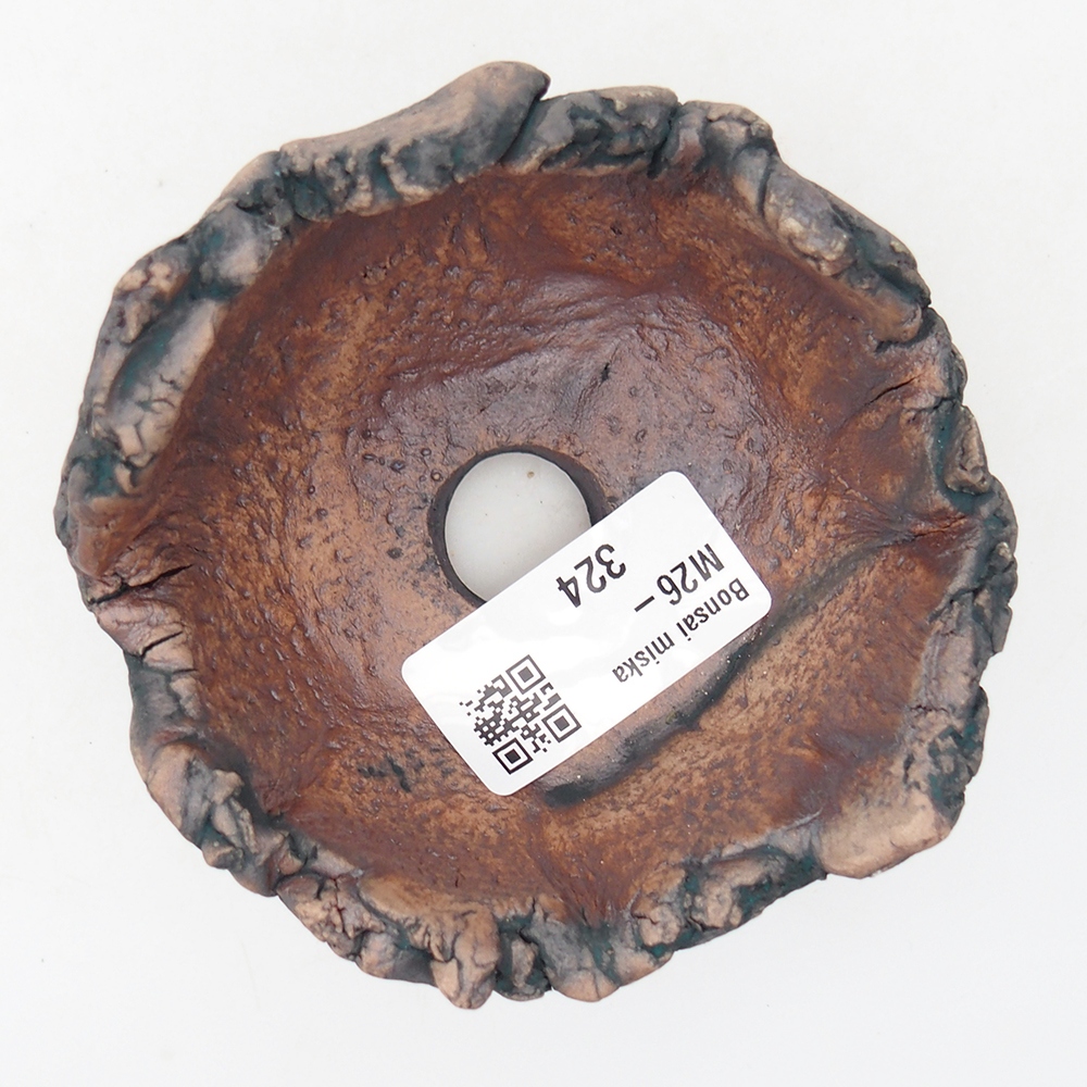 Keramisch Schelp 9 x 8,5 x 6 cm , kleur groen