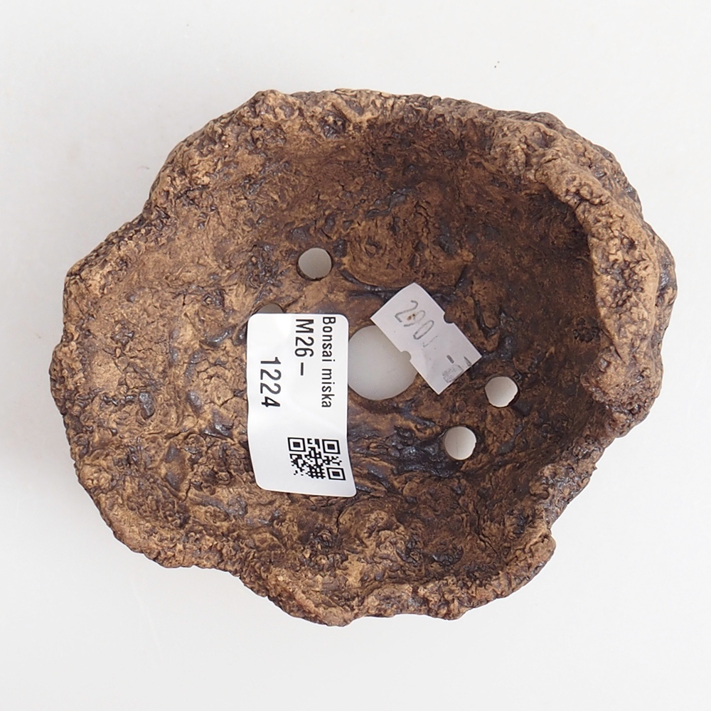 Keramisch Schelp 9,5 x 9 x 8,5 cm , kleur bruin