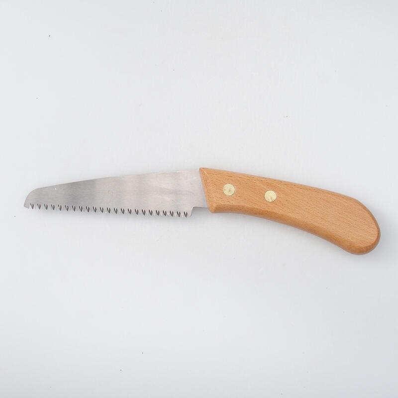 Zaagblad Japan 25 cm