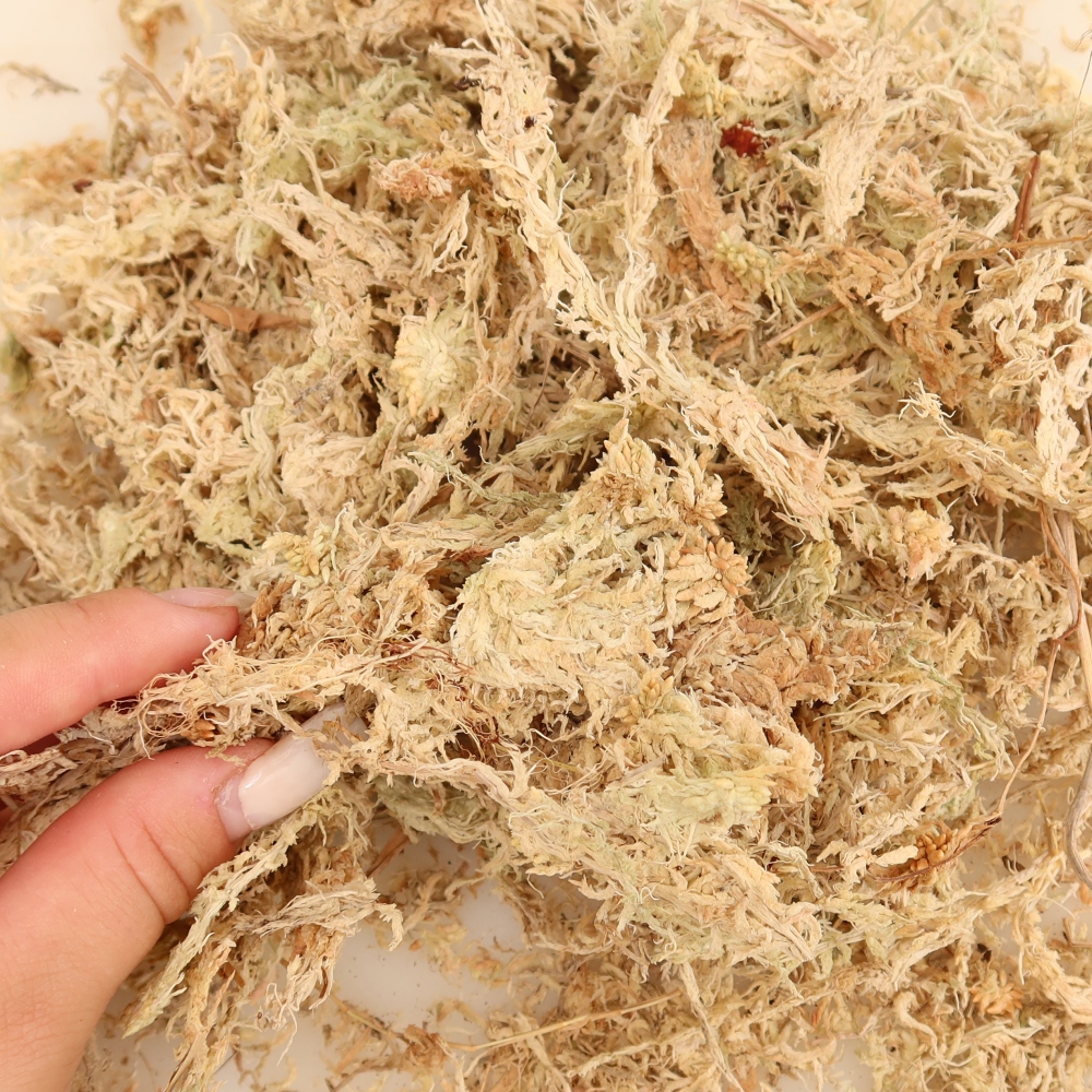 Sphagnum - veenmos 150 gr
