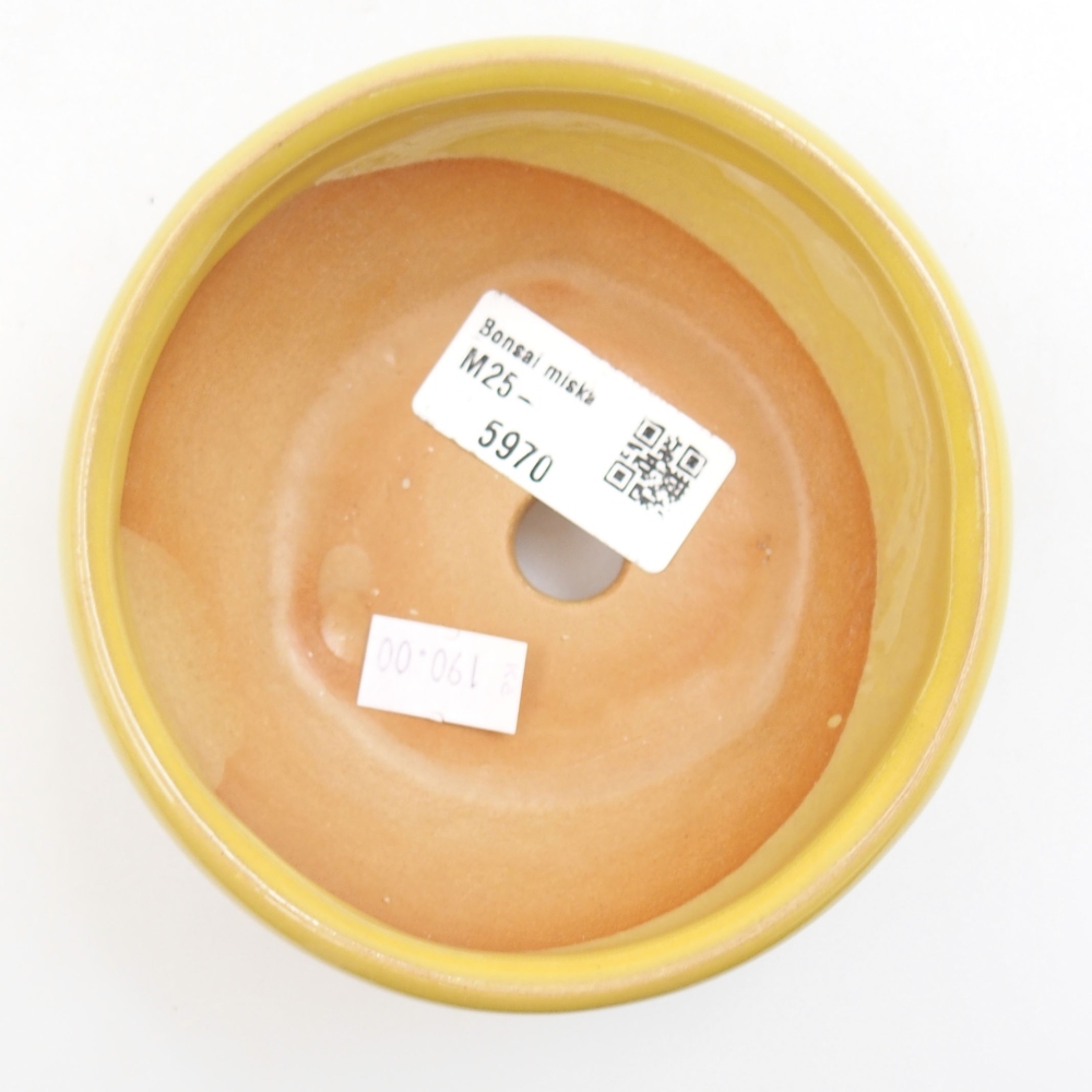 Bonsaischaal van keramiek 22 x 17 x 5 cm, groen