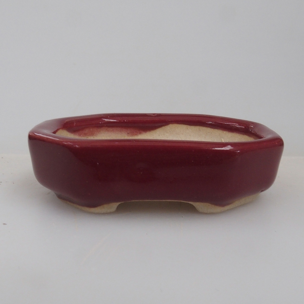Mini bonsaischaal 5,5 x 4 x 1,5 cm, kleur bordeauxrood
