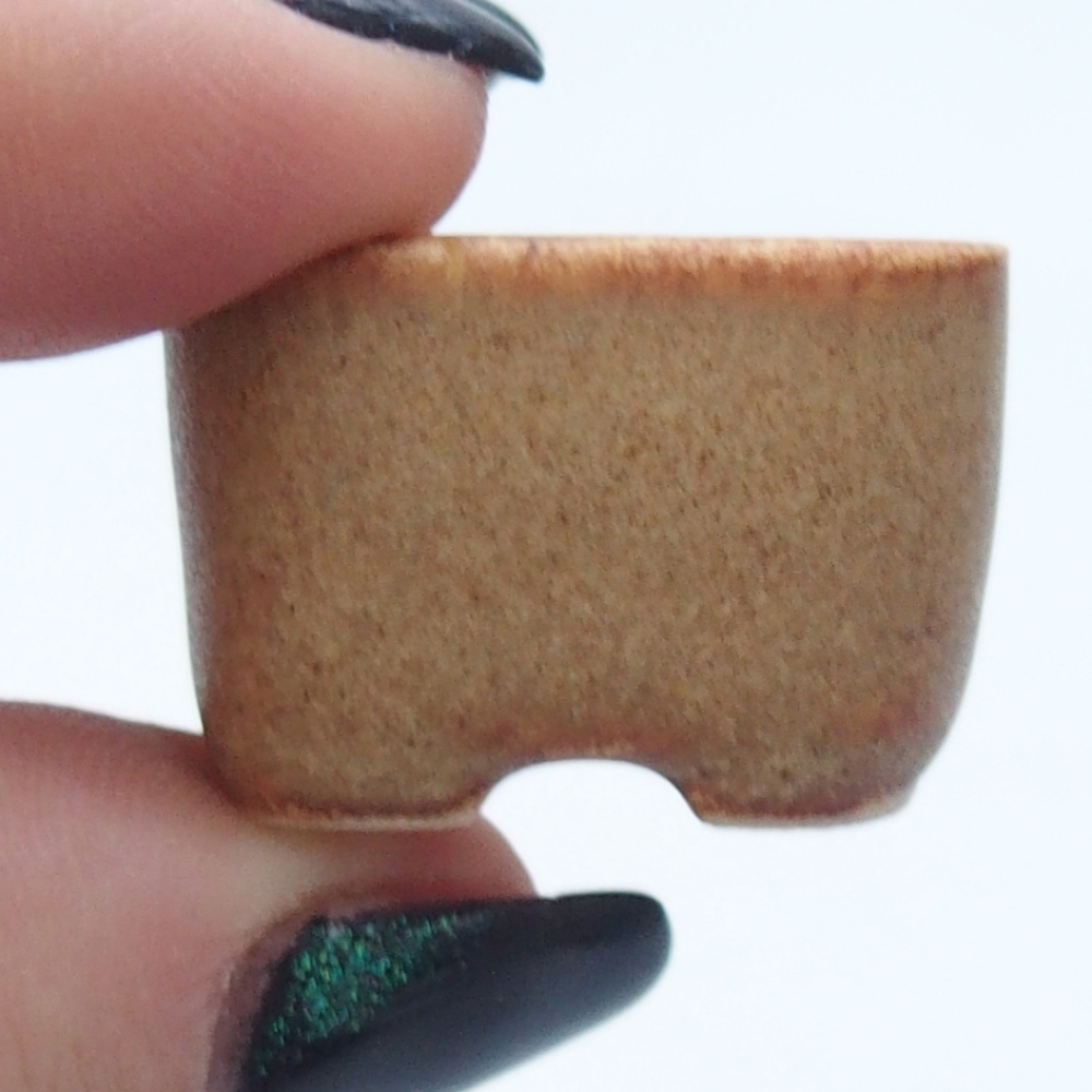 Mini bonsaischaal 2,5 x 2,5 x 1,5 cm, bruin
